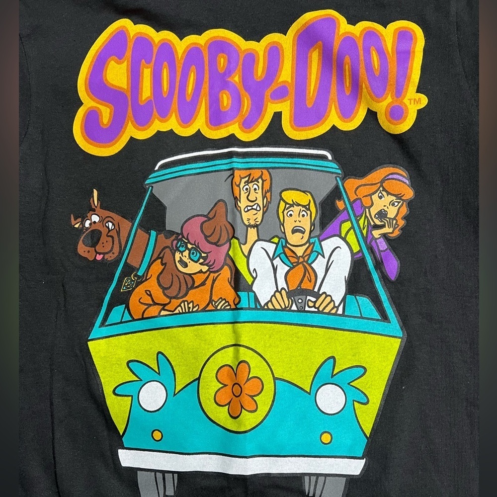 Scooby Doo & The Gang Black Graphic Short Sleeve Tee by Delta Pro Weight